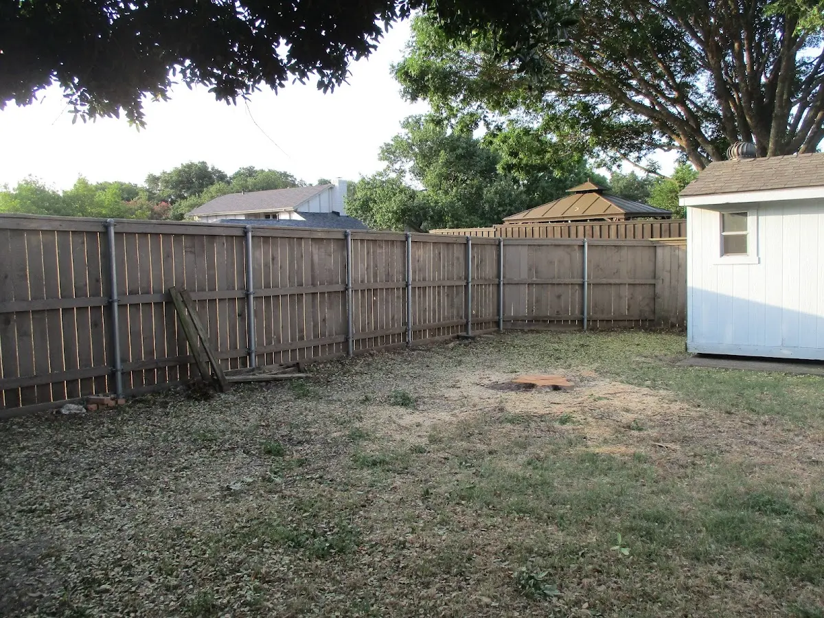 Cleared yard after professional tree removal in Belle Mead