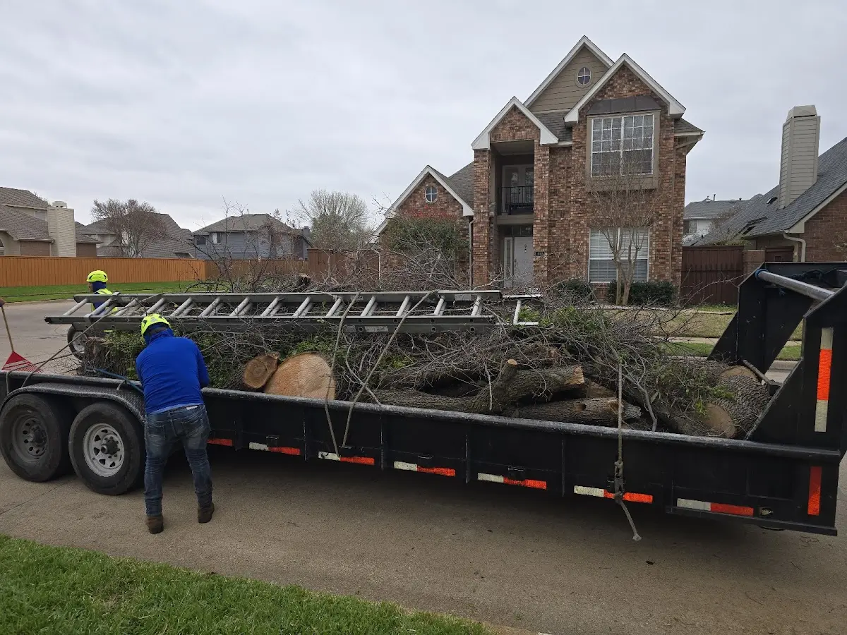 Expert Tree Fertilization with proper safety equipment in Belle Mead